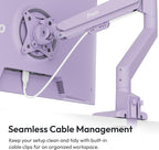 Dual-Arm Monitor Mount